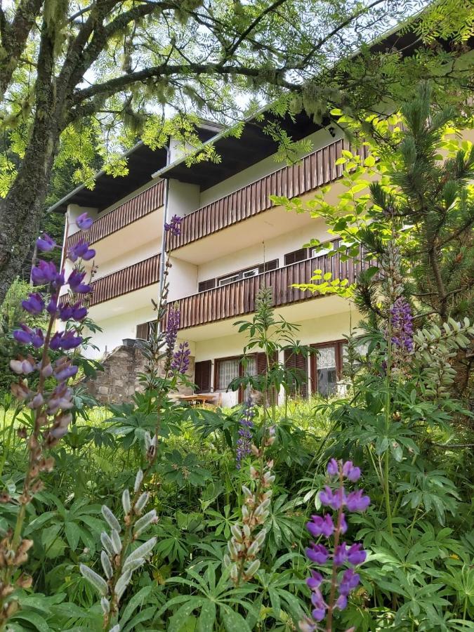 Korlape Apartman 4.2 Wolfsberg Exterior foto